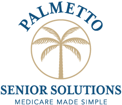 Palmetto Senior Solutions